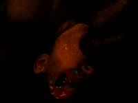 Kinky lady sucking dog dick and making it cum